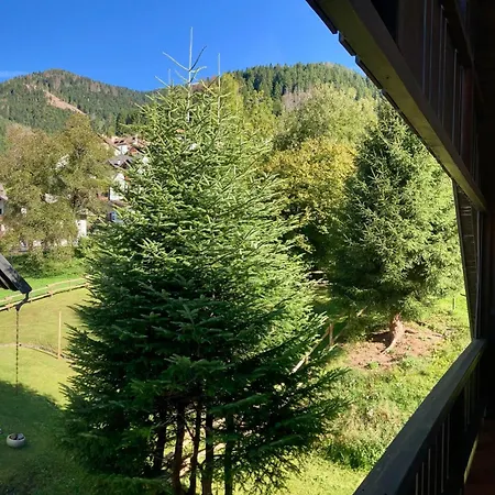 Casa vacanze Ravascletto